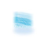 Liner de remplacement piscine hors sol