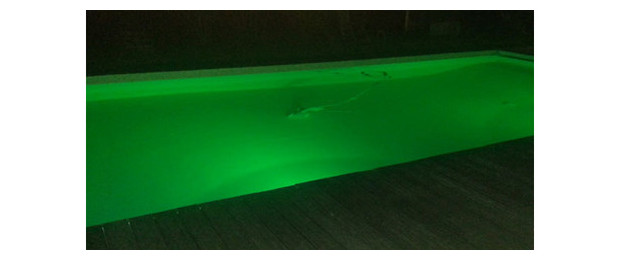 lampe led piscine couleur