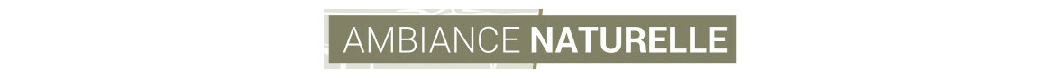 logo ambiance naturelle