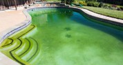 Anti algue et rattrapage de l'eau verte pour piscine