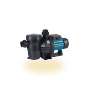 Pièces détachées pompe piscine Silen2
