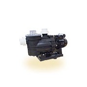 Pièces détachées pompes filtration Sta-Rite Dyna Glas