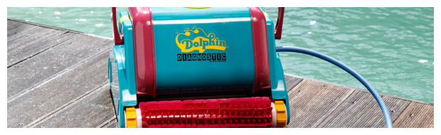 dolphin 2001 robot de piscine brosses picots