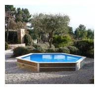 piscine bois hexagonale waterclip