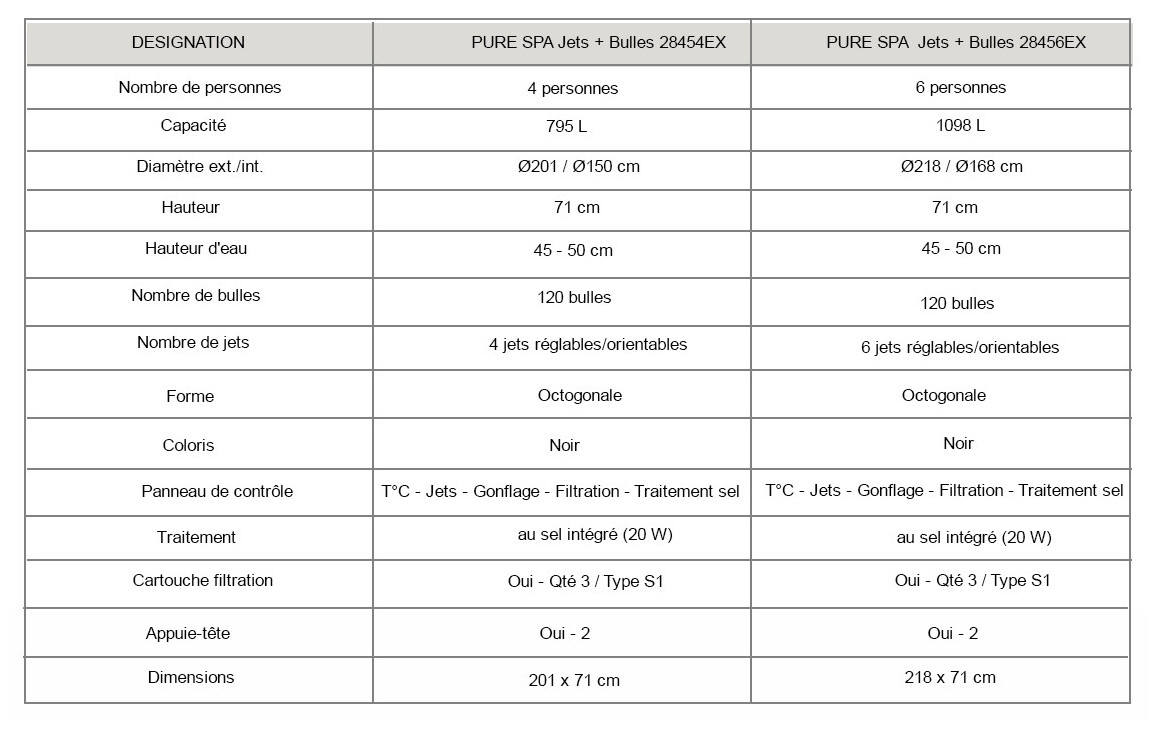 caractéristiques du pure spa jet + bulles intex