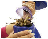 sac filtrant catfish aspirateur piscines et spas