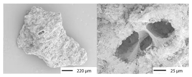 zeolithe agrandissement microscope
