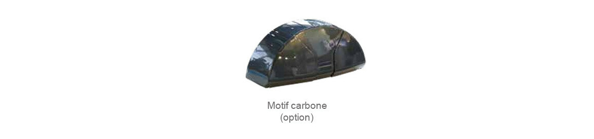 option module carbone