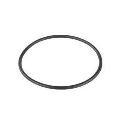 Joint de couvercle de panier de préfiltre pour pompe de piscine challenger