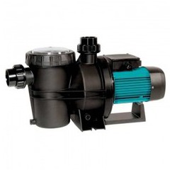Pompe silen 2 200m d'occasion
