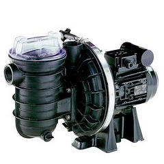 Pompe Sta rite s5p2r 1,5 cv Mono occasion