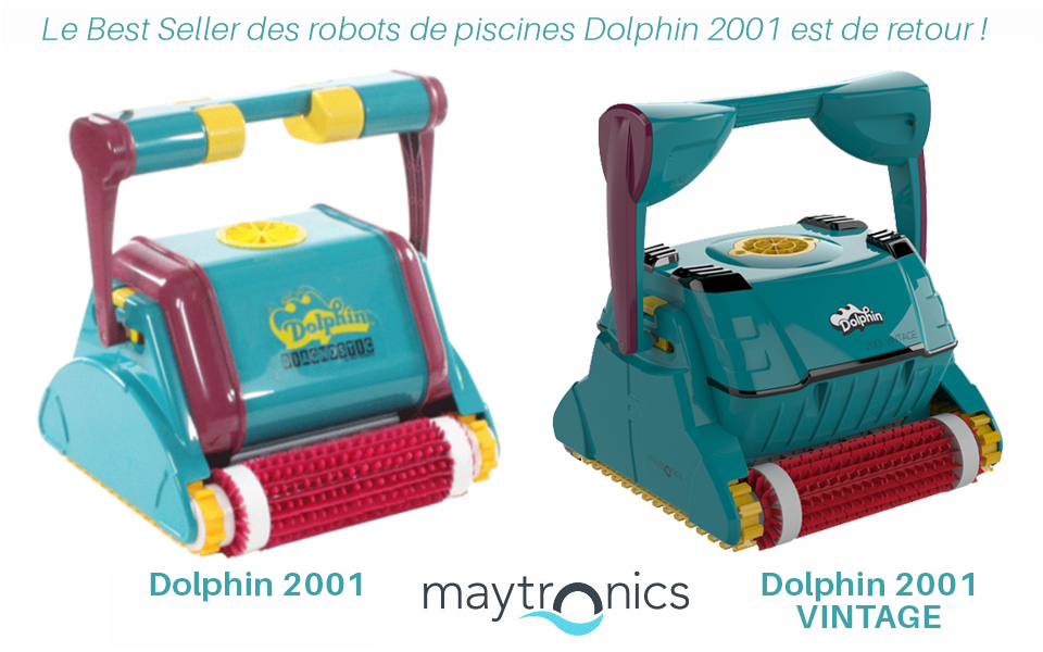 Robot Dolphin 2001