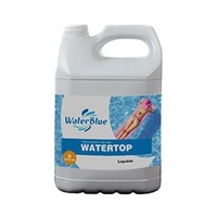 Désinfectant choc watertop waterblue 80l
