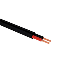 Cable HO7RNF 2x1 - 5mm² L.2 m