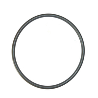 Joint O-RING DIFFUSEUR POMPE STARITE
