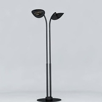 Lampe chauffante infrarouge double tête 2 x 2000 W - noir