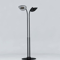 Lampe chauffante infrarouge double tête 2 x 2000 W - noir/chrome