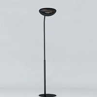 lampadaire exterieur chauffant noir 1500 w 20214
