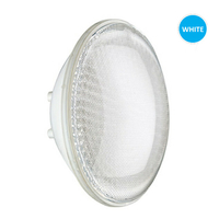 Lampe PAR56 blanche 60 LEDS