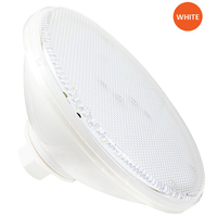Lampe PAR56 Ecoproof blanche 60 LEDS