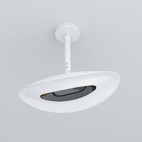Plafonnier chauffant infrarouge 2000 W - blanc