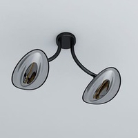 Plafonnier chauffant infrarouge double tête 2 x 2000 W - noir/chrome
