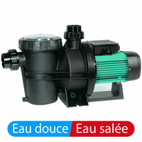 Pompe Silen2 100 Mono 1 cv 24m³/h