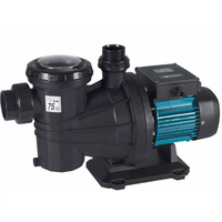 Pompe Silver 22 Mono 1.5 cv 22m³/h