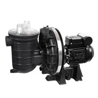 Pompe sta-rite 0.50 cv mono occasion