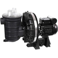 Pompe Sta-Rite 5P2R 0.75 CV Mono occasion