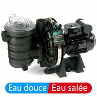 Pompe Starite sel s5pr2 1CV triphasé d'occasion