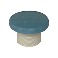 Prise balai bleue pour piscine liner