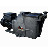 Super Pump HAYWARD 3/4 CV Mono 12,5 m³ / h 2 ''